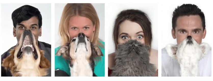 Dogbearding & Catbearding in der aktuellen Purina Kampagne